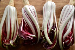 radicchio tardivo