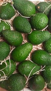 avocado di sicilia