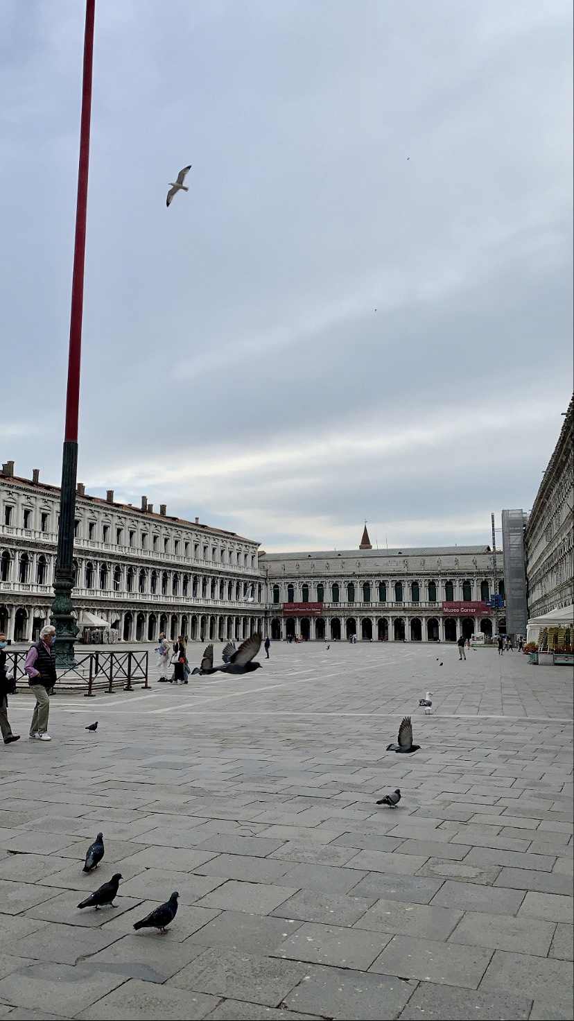 piazza san marco